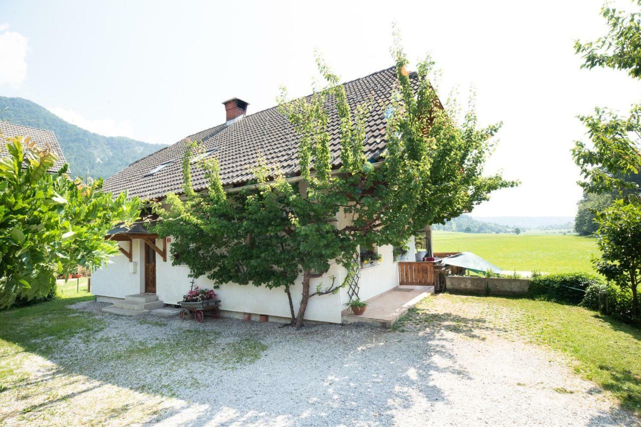 Mateja House - Apartments In Zirovnica Rodine Eksteriør bilde
