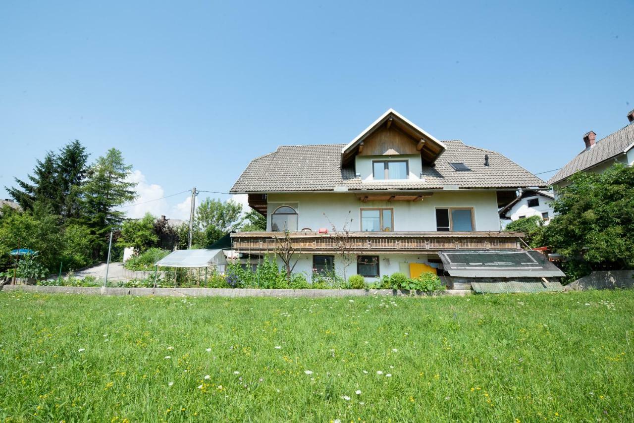 Mateja House - Apartments In Zirovnica Rodine Eksteriør bilde